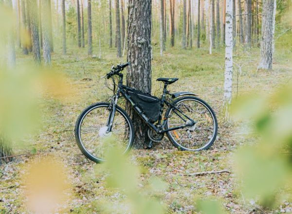 Electric bicycle leaning against a tree in a serene forest setting, showcasing nature's tranquility.